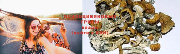 первитин Вяземский