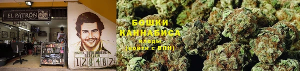 первитин Вяземский