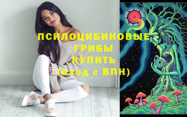 прущие крисы Вязьма