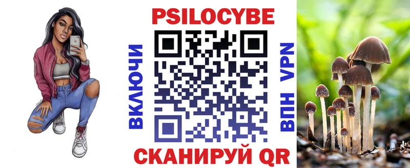 Псилоцибиновые грибы Cubensis  это клад  Заводоуковск 